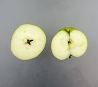Greencats æble